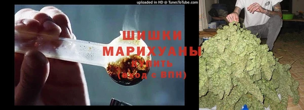 сатива Вязьма