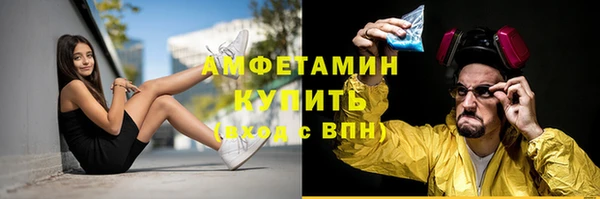 сатива Вязьма