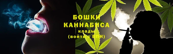 сатива Вязьма