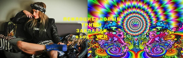 сатива Вязьма