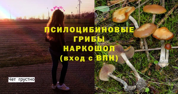 круглые Вяземский