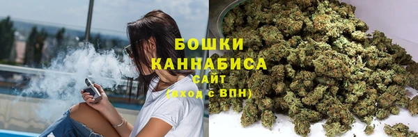сатива Вязьма