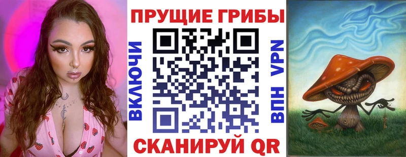 даркнет наркотические препараты  Новоржев  Галлюциногенные грибы прущие грибы 