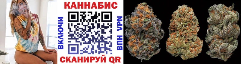 Бошки Шишки планчик Новоржев