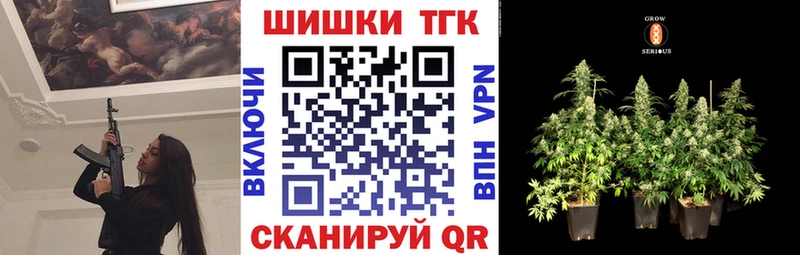 Шишки марихуана конопля Новоржев